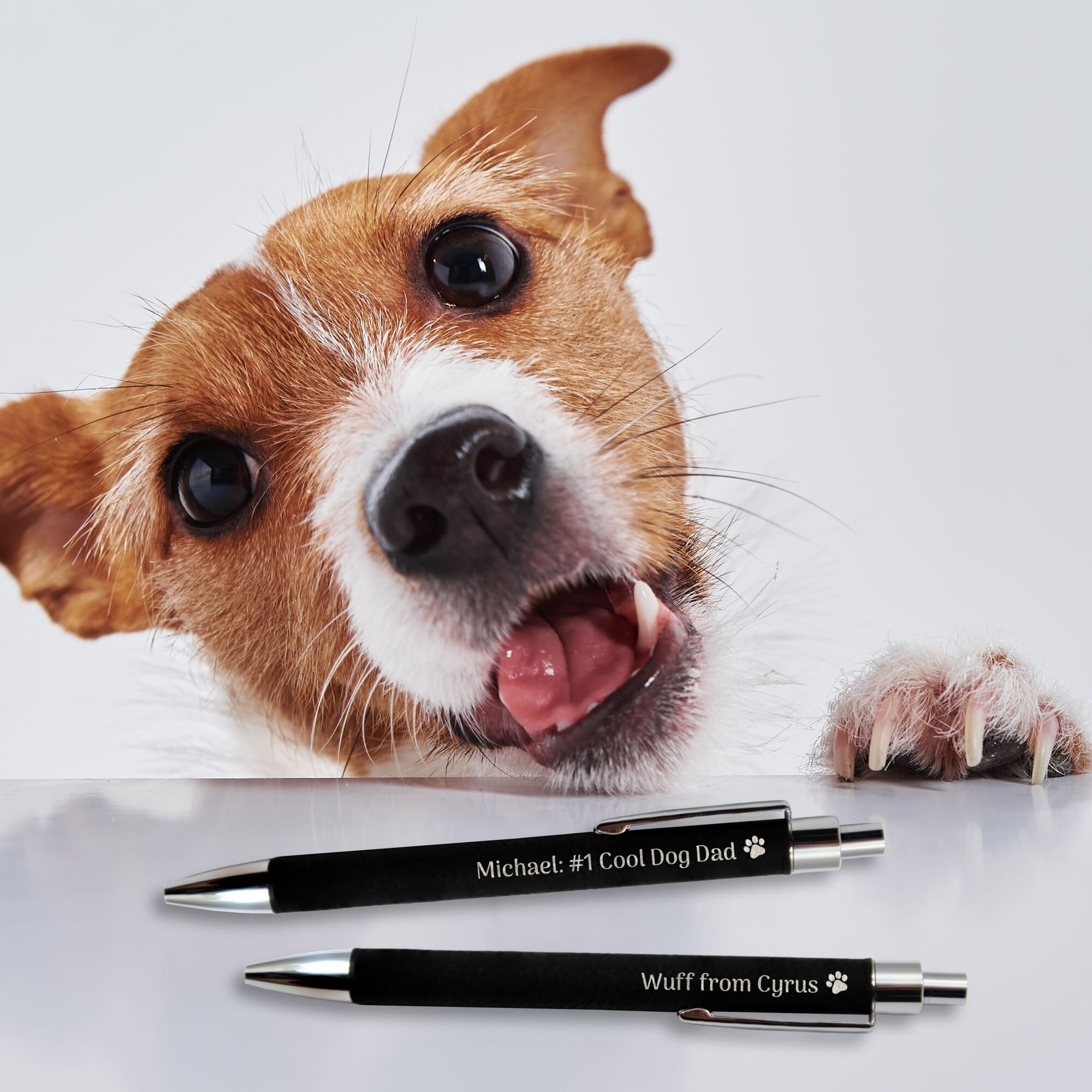 Cool dog pens hot sale