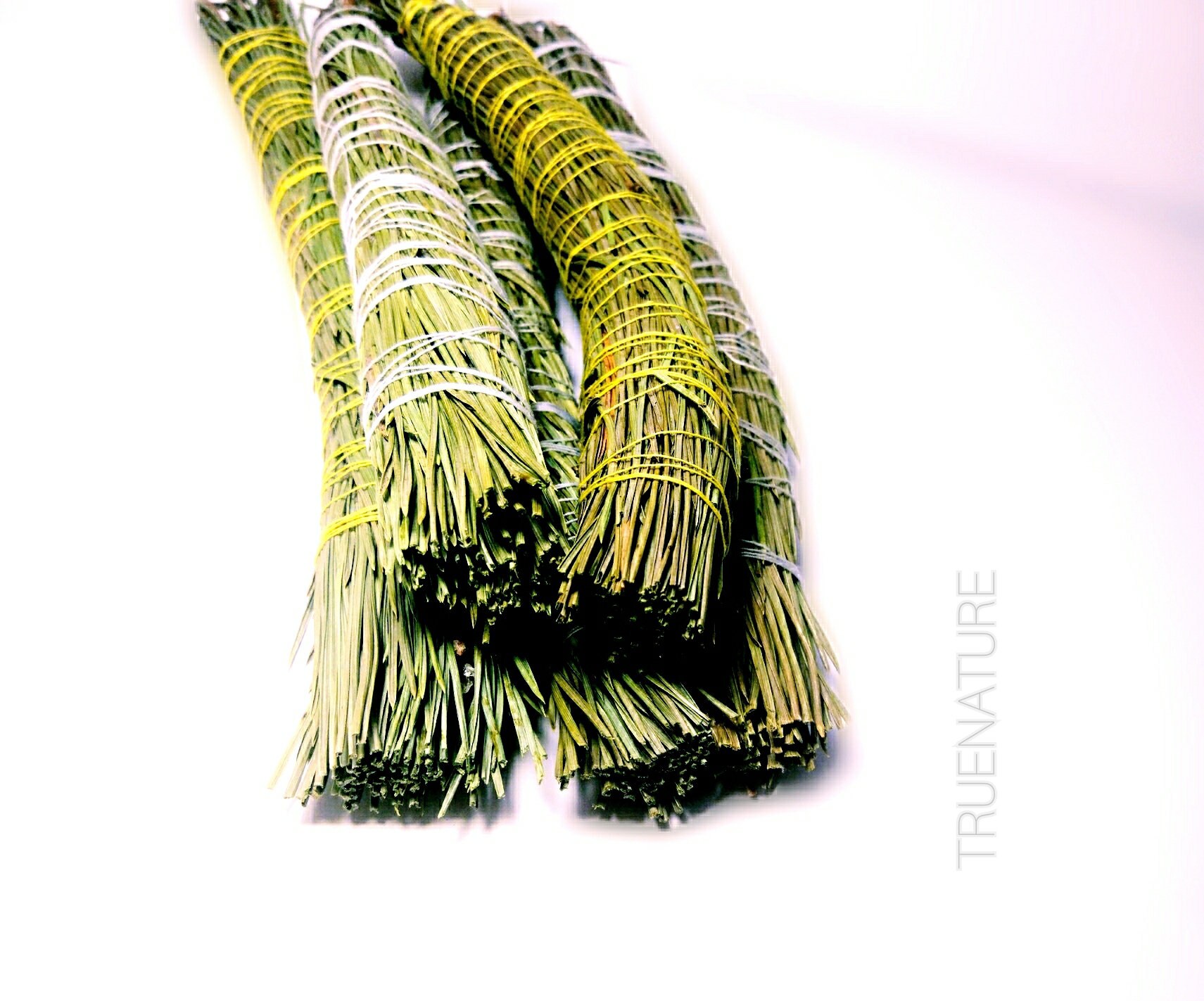 Aroma Incense Pine tree Etsy