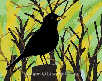 Blackbird - signed bird print