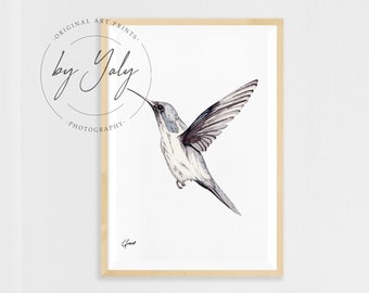 Hummingbird Illustration, Hummingbird Art Print, Hummingbird Drawing, Hummingbird Wall Decor,Hummingbird Digital Print,digital printable art