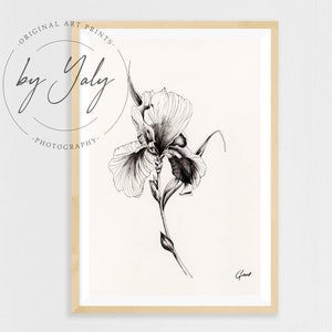 Orchidee hand getekende inkt illustratie, zwarte inkt orchidee kunst print, fine art orchidee bloem tekening, zwarte inkt botanische illustratie