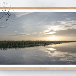 Everglades National Park Wall Decor, stampa delle palpedelle, stampa fotografica Everglades, Arredamento wetland, stampa scaricabile,Everglades arte stampabile