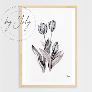 Tulip Flower Illustration, Tulip Art Print, Flower Wall Decor, Floral Wall Print, Flower Painting, Tulip Home Decor, Fine Art, Tulip Drawing