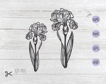 Free Free 236 Iris Flower Svg Free SVG PNG EPS DXF File