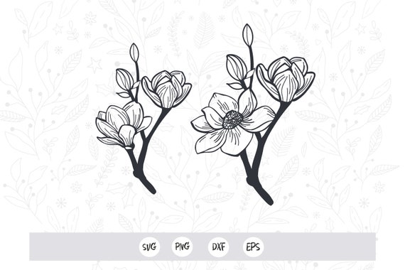 Free Free 244 Magnolia Flower Svg File Free SVG PNG EPS DXF File