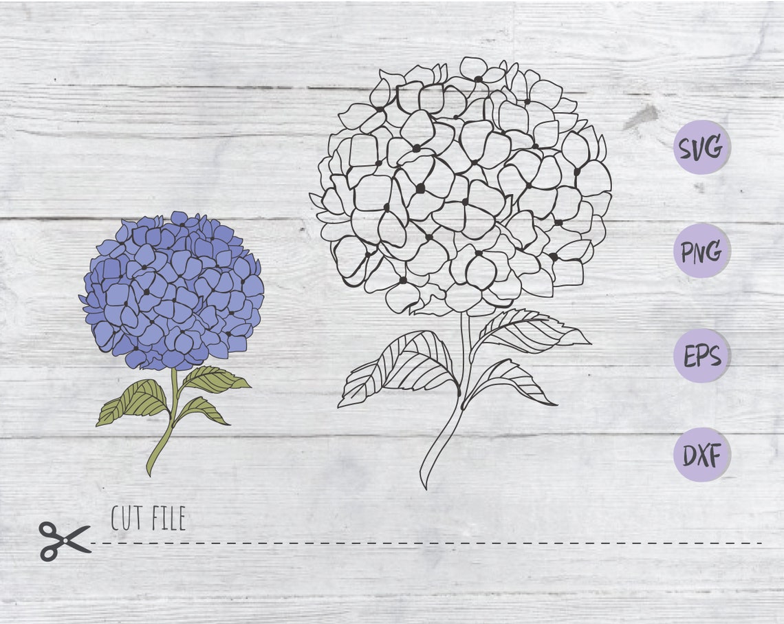 Hydrangea svg flowers / Garden flower svg for cricut cut file | Etsy
