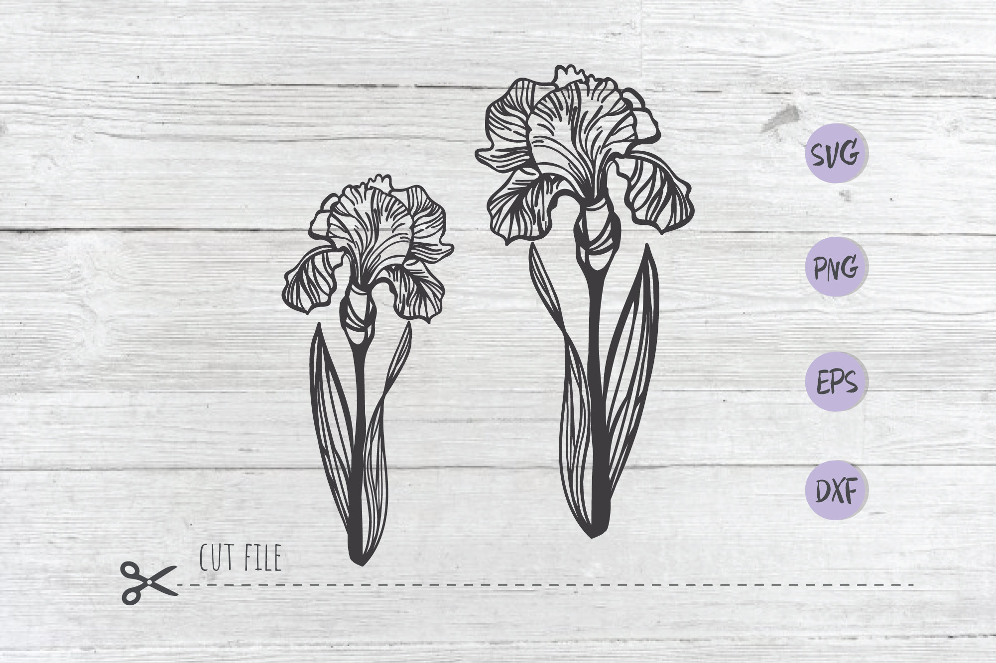 Download Iris Flower Svg Garden Flower Svg Cute Flower Png Iris Etsy