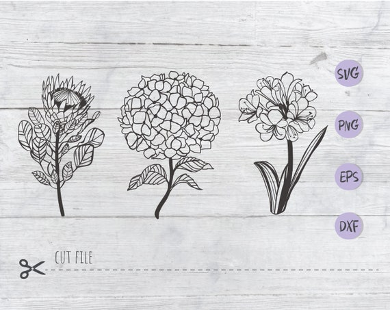 Download Garden Flower Svg Cut File Botanical Svg Png Clipart Etsy