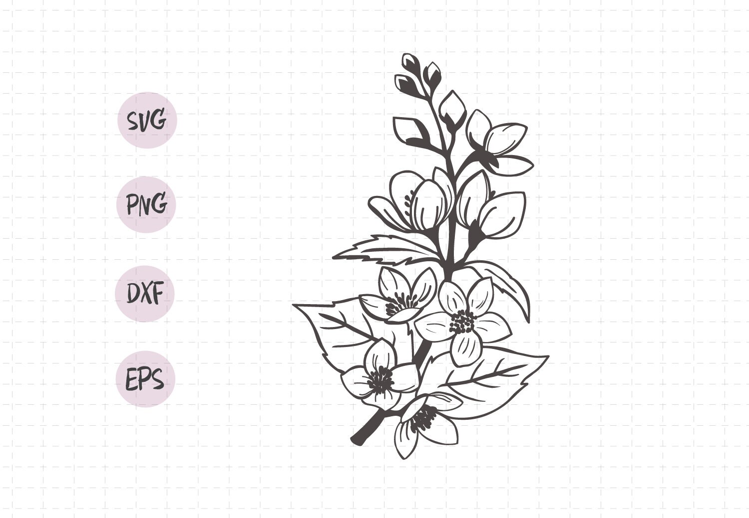 Free Free Jasmine Flower Svg 617 SVG PNG EPS DXF File