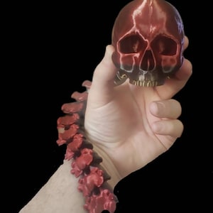 May include: A red and bronze skull figurine with a matching red spine bracelet. The skull has detailed facial features and a glossy finish. The spine bracelet is made of individual vertebrae.