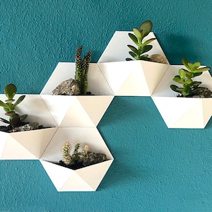 Set of 5 hex wall planters, Set of 5 white wall-mountable mini vases, succulent cactus Flower Pot / boho / home décor / bohemian / garden
