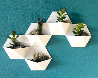 Set of 5 hex wall planters, Set of 5 white wall-mountable mini vases, succulent cactus Flower Pot / boho / home décor / bohemian / garden