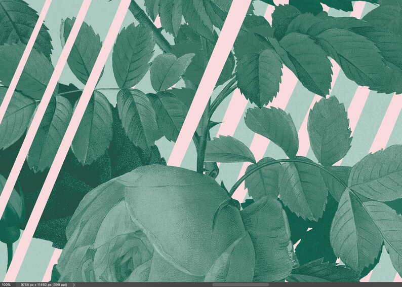 Green Roses Art Print Blush Pink Wall Art Mint Green and Etsy