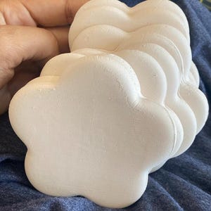 Kiln Cookies (cone 5) (size:small)