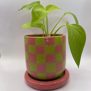 Watermelon Checkered Planter