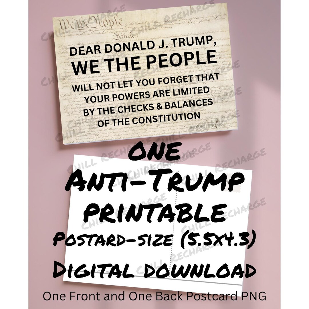 1 Anti-trump Instant Download We the People Checks and Balances PNG ...