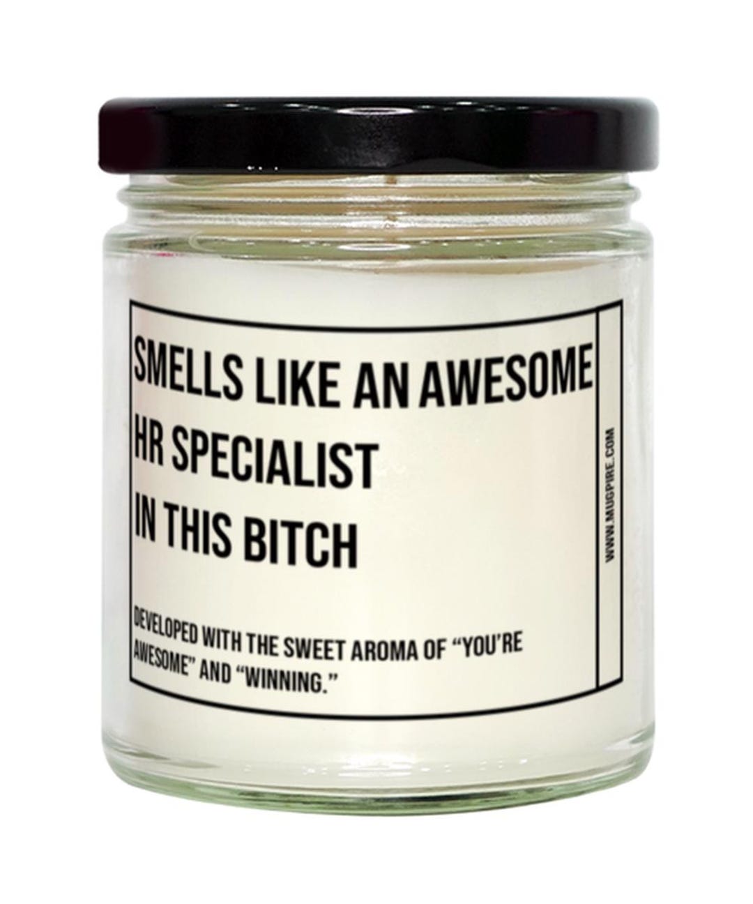 Funny Hr Specialist Candle, Smells Like an Awesome Hr Specialist, Gift