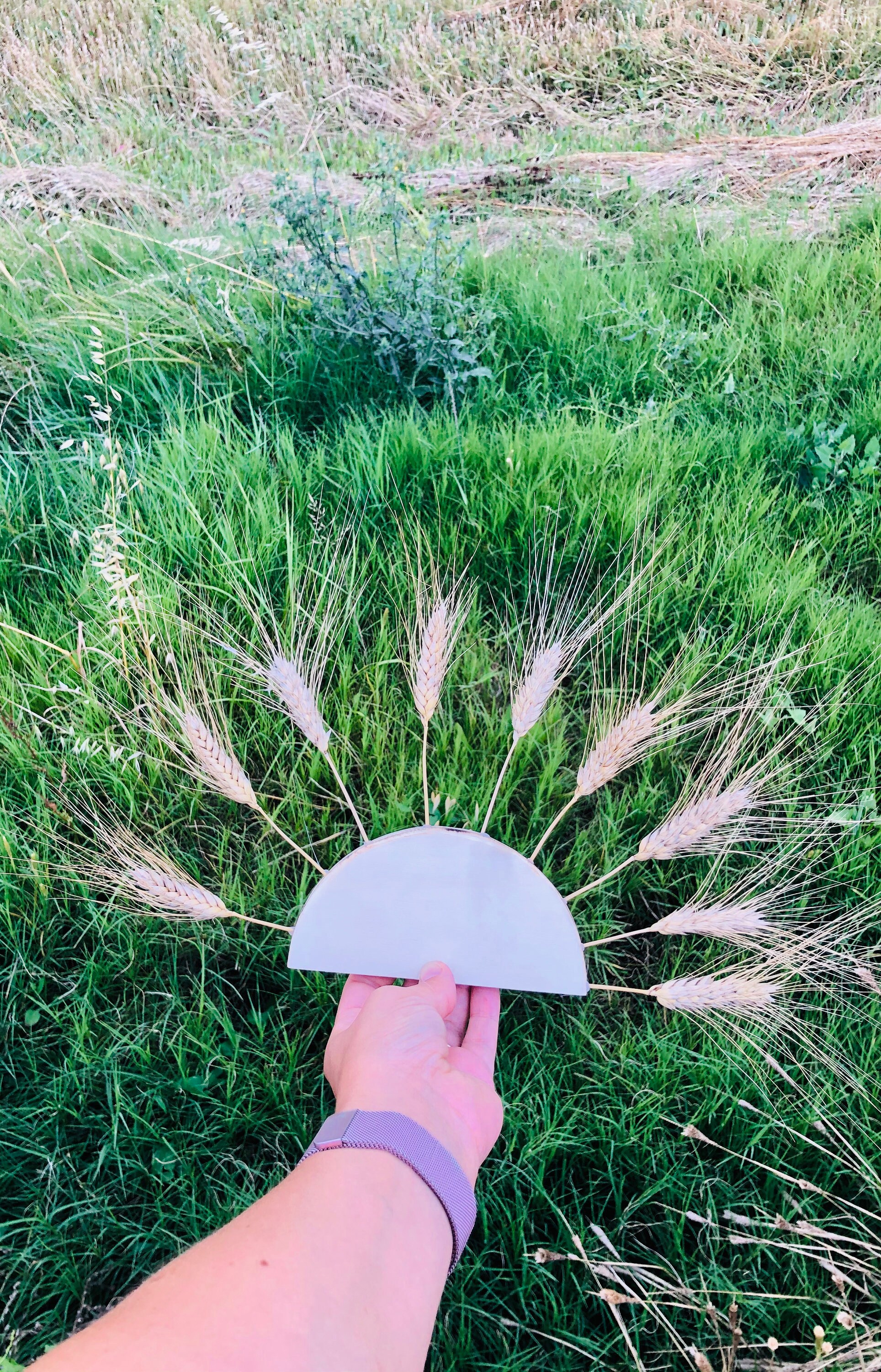 Déco Blé/Fleurs Sechées Champêtre