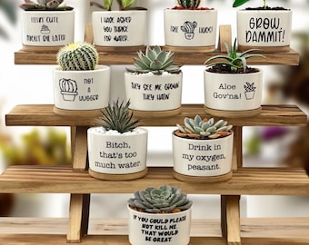 Succulent Pots | Succulent Planter with Drainage | Funny Plant Pot | Mini Succulent Planter | Funny Succulent Pot | Funny Planter | Planter