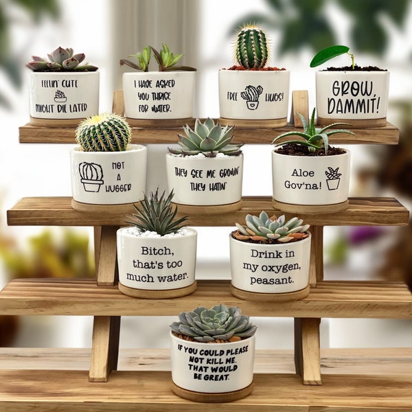 Succulent Pots | Succulent Planter with Drainage | Funny Plant Pot | Mini Succulent Planter | Funny Succulent Pot | Funny Planter | Planter