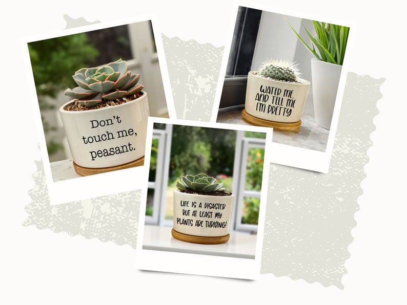 Succulent Pots Succulent Planter with Drainage Funny Plant Pot Mini Succulent Planter Funny Succulent Pot Funny Planter Planter image 7