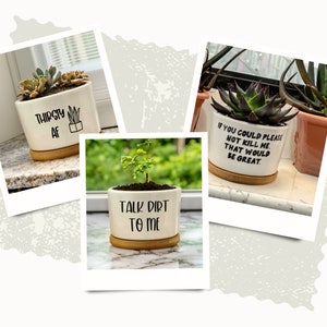 Succulent Pots Succulent Planter with Drainage Funny Plant Pot Mini Succulent Planter Funny Succulent Pot Funny Planter Planter image 5