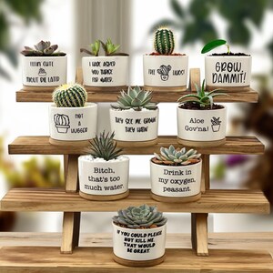 Succulent Pots | Succulent Planter with Drainage | Funny Plant Pot | Mini Succulent Planter | Funny Succulent Pot | Funny Planter | Planter