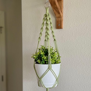 May include: A green macrame plant hanger with a white planter and a small green plant inside. The hanger is hanging from a hook on a white wall.