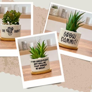 Succulent Pot | Succulent Planter | Flower Pot | Mini Planter | Mini ...