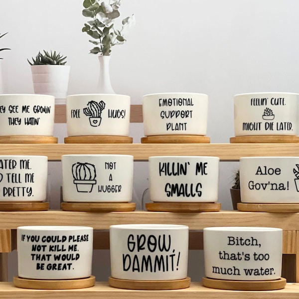 Succulent Pot | Succulent Planter | Flower Pot | Mini Planter | Mini Succulent | Mini Succulent Plant | Funny Succulent Pot | Funny Planter