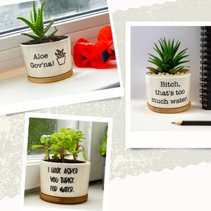 Succulent Pots Succulent Planter with Drainage Funny Plant Pot Mini Succulent Planter Funny Succulent Pot Funny Planter Planter image 2