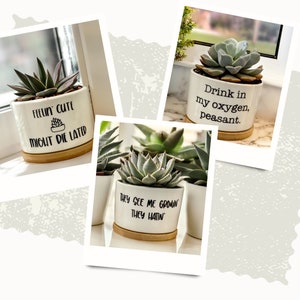 Succulent Pots Succulent Planter with Drainage Funny Plant Pot Mini Succulent Planter Funny Succulent Pot Funny Planter Planter image 4