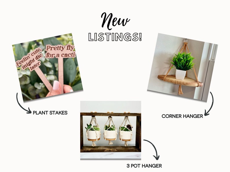 Succulent Pots Succulent Planter with Drainage Funny Plant Pot Mini Succulent Planter Funny Succulent Pot Funny Planter Planter image 10