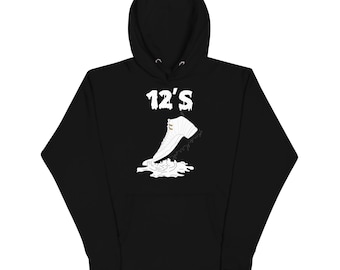 air jordan 12 hoodie