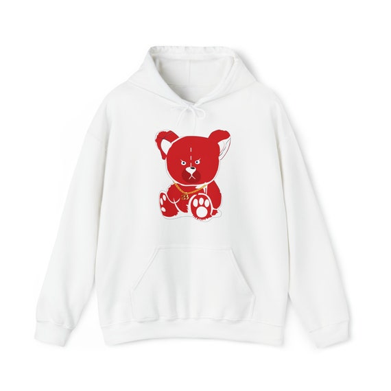 jordan teddy bear hoodie