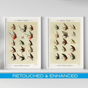 May include: Two vintage illustrations of trout flies, each with a title "Trout Flies" and the text "Made by C.T. ORVIS, Manchester, Vt."