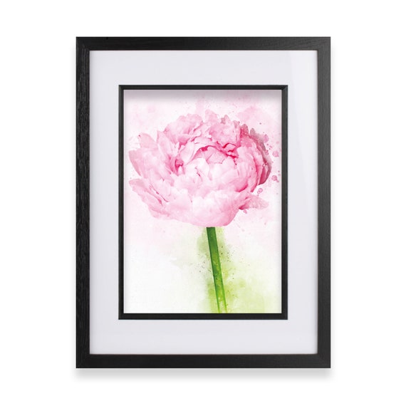 Pink Peony Watercolour Painting Wall Art Print Peony Flower - Etsy UK