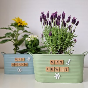 May include: Two green and blue metal planters with a sunflower and lavender plants. The planters have the names "Mrs. Moran" and "Mrs. Lewis" spelled out with letter tiles.