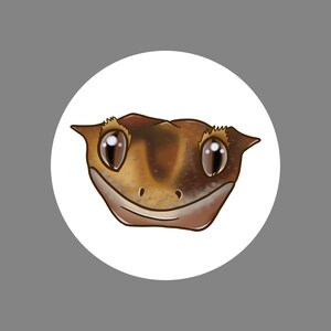 Sticky Lizard Pack