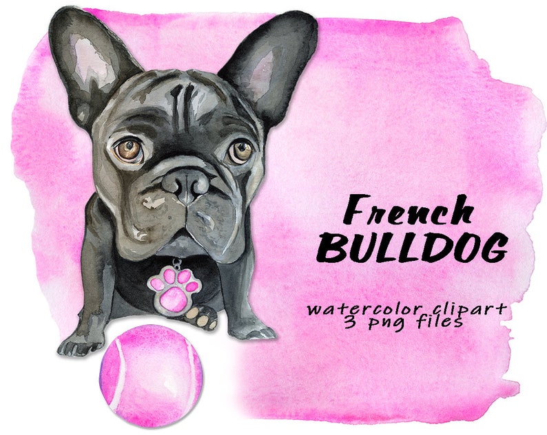 Black French Bulldog Print With Pink Ball Watercolor Dog Etsy