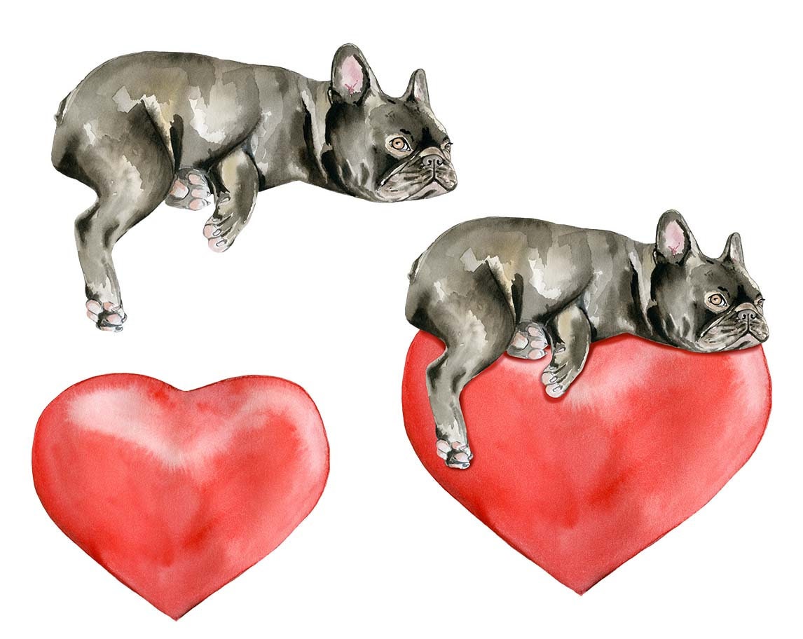 Watercolor Valentine's day clipart French bulldog on heart | Etsy