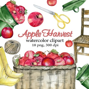 Apples Bucket. Thanksgiving or Harvest Day card. Watercolor.