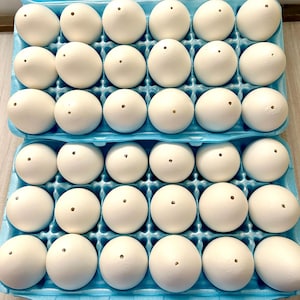 May include: A blue egg carton filled with 36 white eggs. Each egg has a small hole in the top.