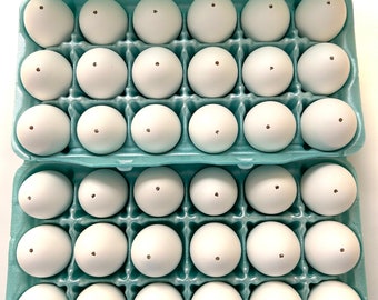 Blown White Eggshells: Real Chicken Eggs, Easter Decorating