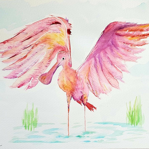 Roseate Spoonbill - Etsy