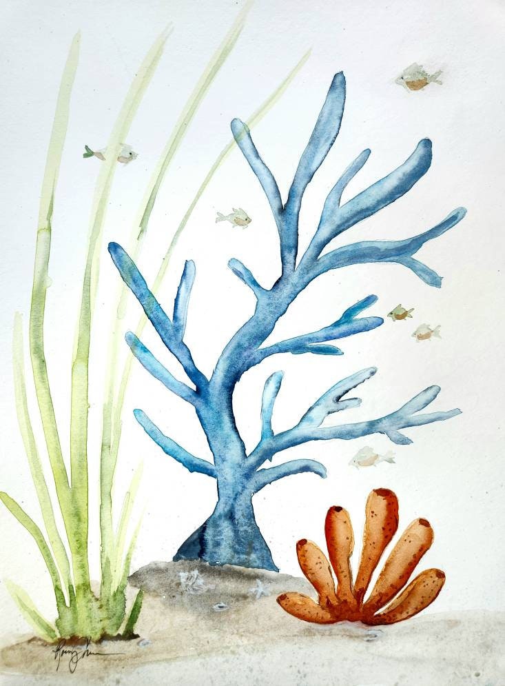 Plants Under The Sea Drawing