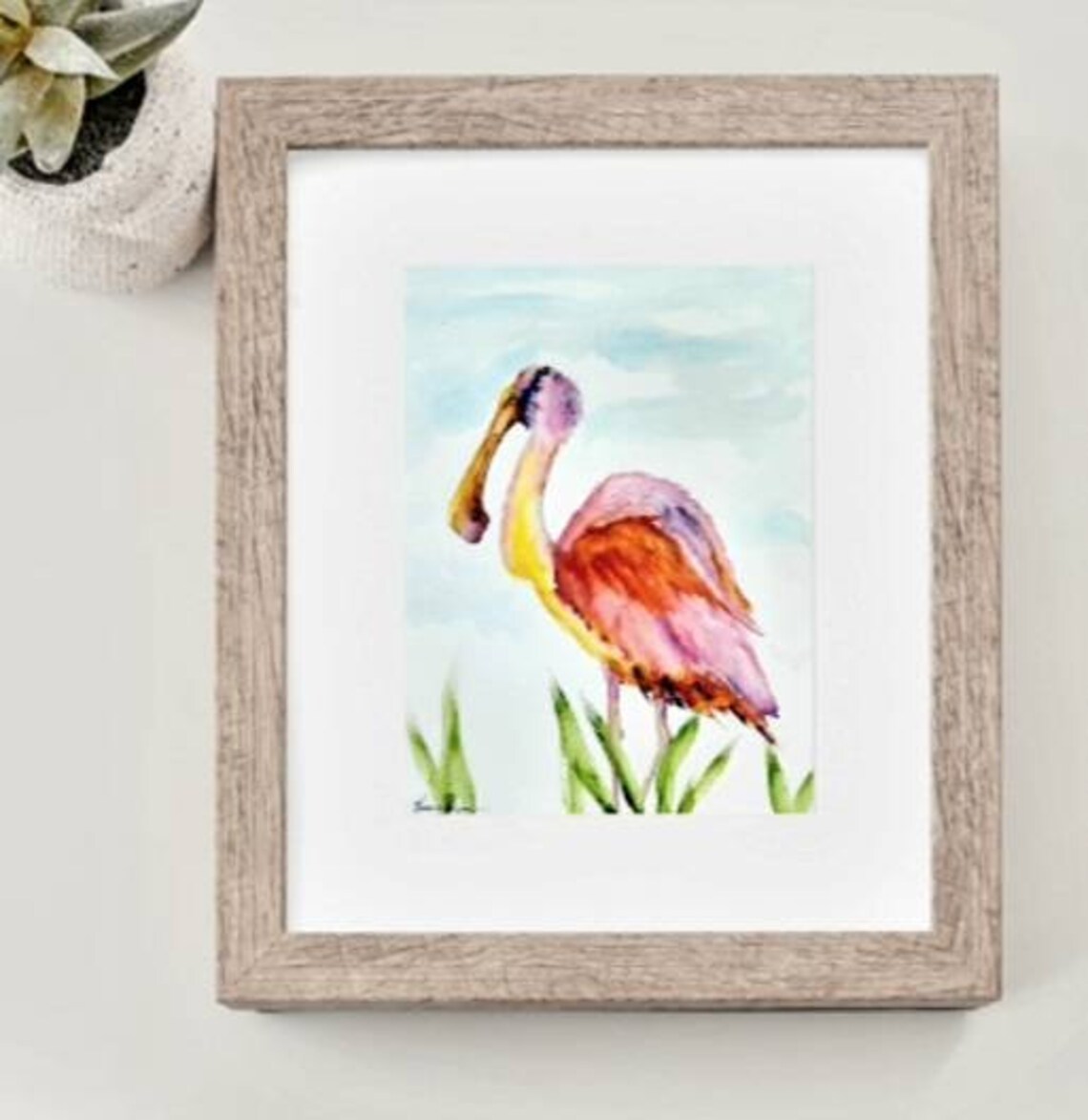 Roseate Spoonbill Watercolor Painting Sea Bird Fine Art - Etsy