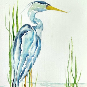 Great Blue Heron Watercolor Print, Sea Bird Fine Art, Coastal Art and Wall Decor, Stately Heron Wall Decor,