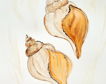 Sea Shells Watercolor Painting, Sea Life Fine Art, Beach, Coastal Tropical Home Wall Decor, Sea Shell Collector Artwork,