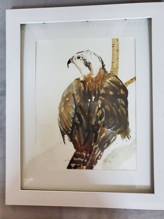 Osprey Watercolor Painting Sea Bird Fine Art Beach House | Etsy